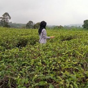 Nia kurniasih profile icon