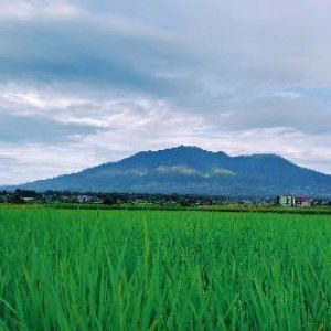 TumbokBan Channel profile icon