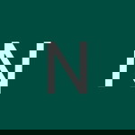 Nur Farhana Nabila Khishamuddin profile icon