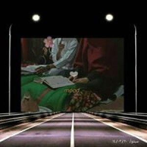 ميل دماينتي profile icon