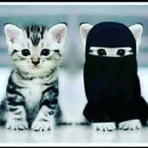 Daia NaNissa profile icon