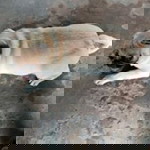 อยากมีใคร สักคนที่จริงจัย profile icon