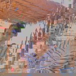 มุกขรินทร์ สามัญทจิตต์ profile icon