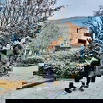 Kleddao Dear profile icon