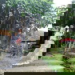 Anggis Nurma'rifah profile icon