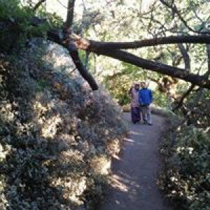 Riska R profile icon