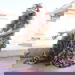 Lovely Pananya profile icon