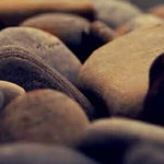 Umma azl profile icon