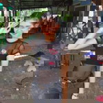 เจ้า' ม่อน profile icon