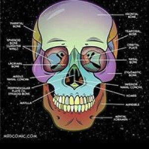 Bintu Jahsy profile icon