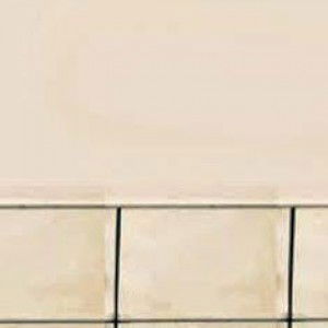 dini riska profile icon