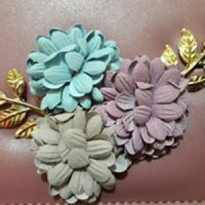 Zefrina Novita profile icon