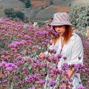 Tak Nisarut profile icon