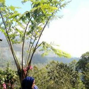 Aminatul Chamidah profile icon