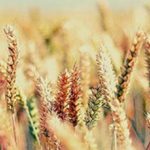 Yuni Kartika profile icon