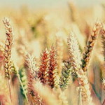 Yuni Kartika profile icon