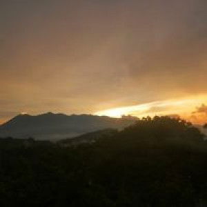 Eivohc Sucab profile icon