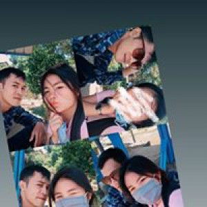 Dina Erlambang profile icon