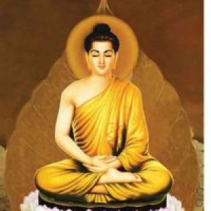 Bút Chì Màu profile icon