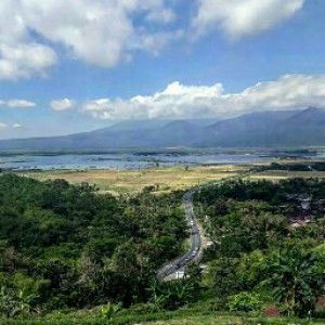 ana maria profile icon