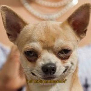 Pilailuk Kasem profile icon