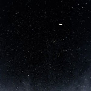 Nia Paramita profile icon