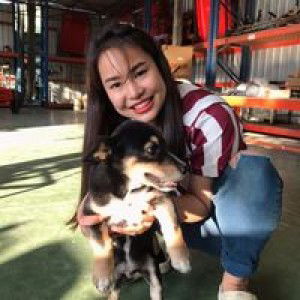 น้องมายด์ แสงส่องจ้า profile icon