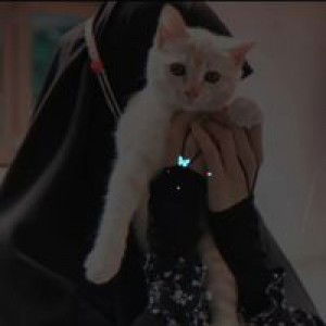 Tina Noho Zulkifli profile icon