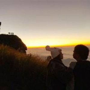 น้องปันดา profile icon