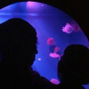 Noe Enha Nunu' profile icon