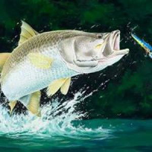 Joe Ijho profile icon