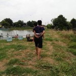 Peerapol Worarat profile icon