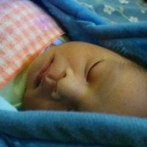 Nofita Supriyati profile icon