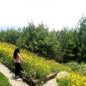 Muslima Karani profile icon