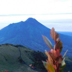 husna nazhifah profile icon