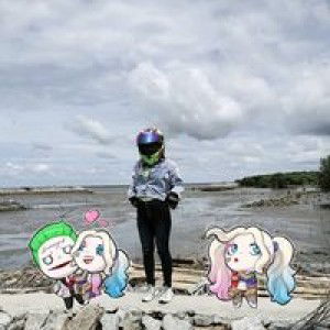 กอเอ๋ย กอกวาง profile icon