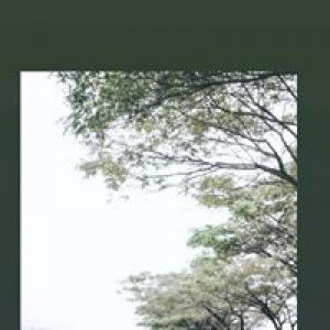 Nadya Aulia Anggari profile icon