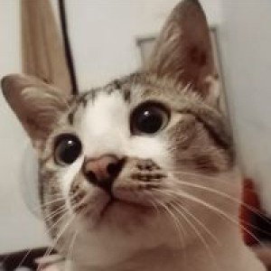 เอ็ม รังษี profile icon