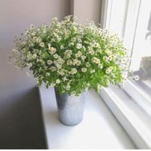 Sarah Yunita profile icon