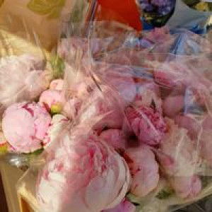 Karyn Lu profile icon