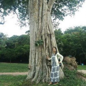 Phalla Seang profile icon