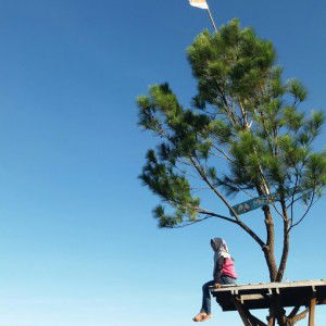 Siti Yanuar profile icon