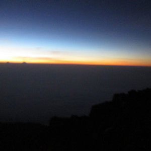 Dwi Yulfiatun profile icon