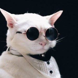 aliah nadhrah profile icon