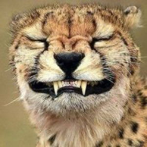 Tary Ci Gadieztpisces profile icon