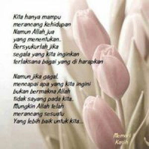 Ummah Hasan Husain profile icon