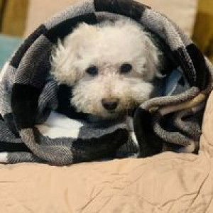 Res Min profile icon