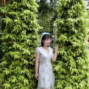 Rak Pannidathobarj profile icon