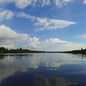 Wardina Alif profile icon