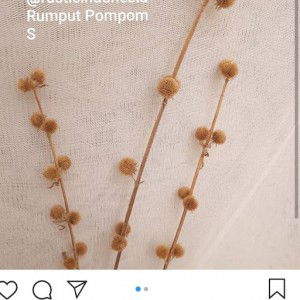 Luana Dimyati profile icon